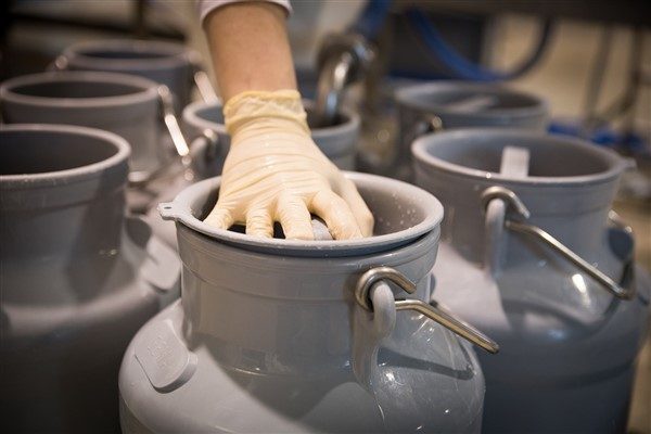 Türkiye İstatistik Kurumu’nun (TÜİK) verilerine göre, 2024 yılında 22 milyon