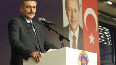 İçişleri Bakanı Mustafa Çiftçi, Hayvanları Koruma Kanunu kapsamında valilerle Video Konferans