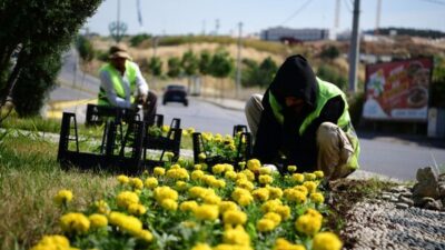 Kocaeli Çayırova Belediyesi, ilçe genelinde yürüttüğü çevre düzenleme çalışmaları kapsamında