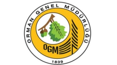 Orman Genel Müdürlüğü, İzmir’in Dikili ilçesinde orman dışı alanda çıkan