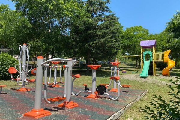 Düzce Belediyesi Park ve Bahçeler Müdürlüğü, 2026 yılının ilk 5