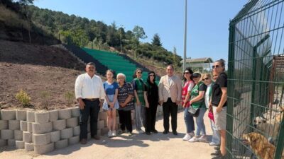 HAÇİKO üyeleri ve gönüllü hayvanseverler, Gemlik Belediyesi tarafından geçtiğimiz hafta