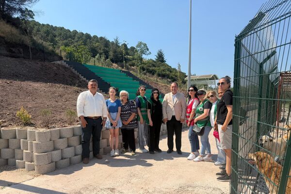 HAÇİKO üyeleri ve gönüllü hayvanseverler, Gemlik Belediyesi tarafından geçtiğimiz hafta