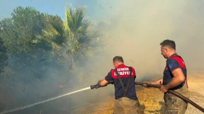 İzmir’in Menemen ilçesinde çıkan ot yangını, rüzgarın etkisiyle kısa sürede