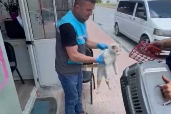 Kayseri Büyükşehir Belediyesi İtfaiye Daire Başkanlığı ekipleri, Cumhuriyet Meydanı Yeraltı