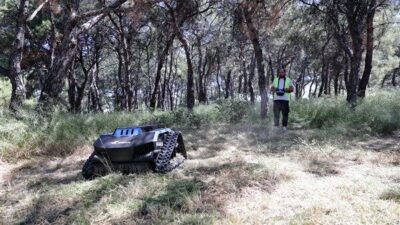 Konak Belediyesi Park ve Bahçeler Müdürlüğü, parklar ve yeşil alanlarda