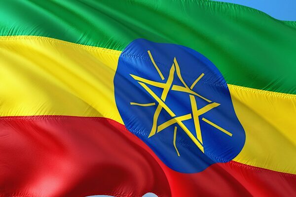 Etiyopya Başbakanı Abiy Ahmed Ali, rekor kıran fidan dikme kampanyasına