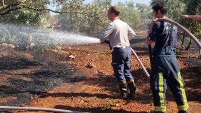 Antalya Büyükşehir Belediyesi İtfaiye Dairesi Başkanlığı ekipleri, son günlerde kentin