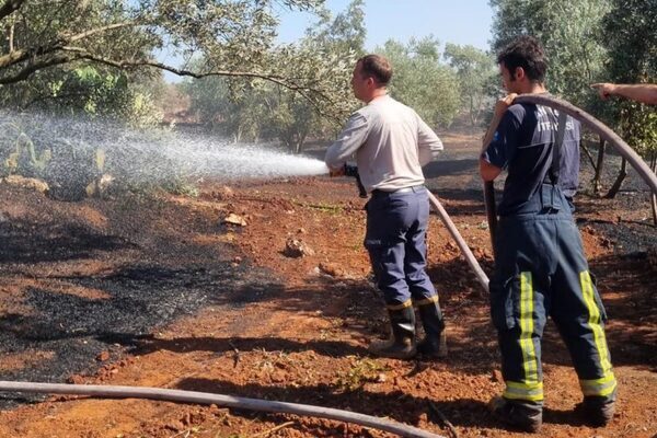 Antalya Büyükşehir Belediyesi İtfaiye Dairesi Başkanlığı ekipleri, son günlerde kentin