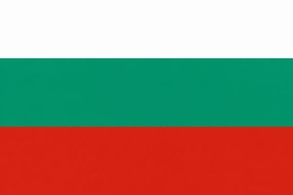 Bulgaristan Dışişleri Bakanlığı, Rusya’ya ait bir füzenin Polonya hava sahasını