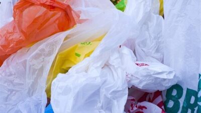 Sıfır Atık Türkiye, 3 Temmuz Dünya Plastik Poşet Kullanmama Günü