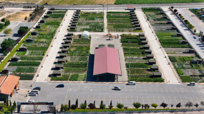 Kayseri Büyükşehir Belediyesi, yerel üretimi ve organik gıdaya erişimi desteklemek
