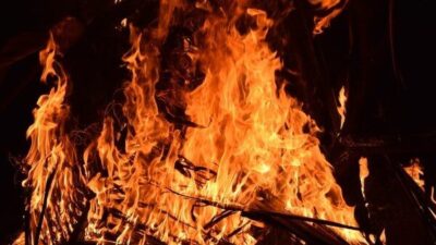 Diyarbakır Büyükşehir Belediyesi, Lice ilçesinde çıkan orman yangınının itfaiye ekiplerinin