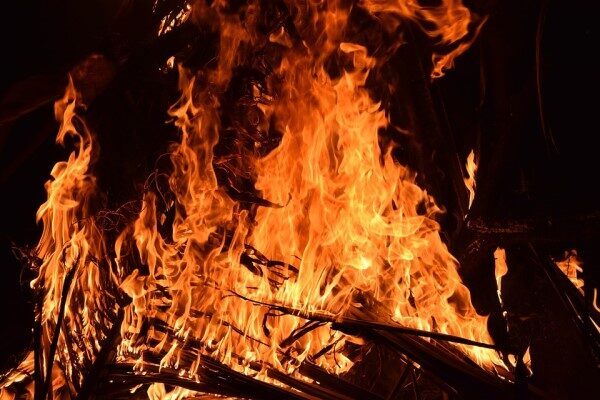 Diyarbakır Büyükşehir Belediyesi, Lice ilçesinde çıkan orman yangınının itfaiye ekiplerinin