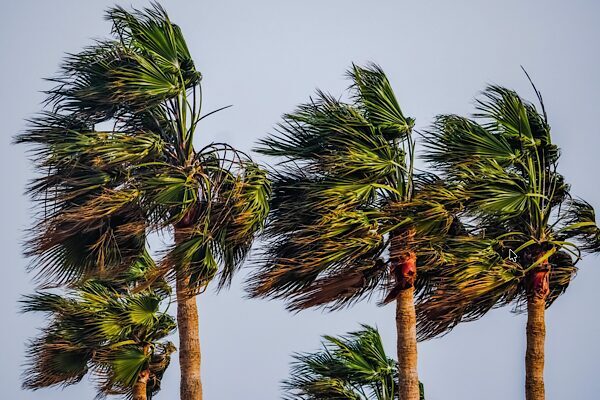 MGM, 31 Temmuz Cuma gününe ilişkin hava tahmin raporunu yayımladı.