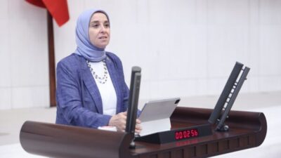 Türkiye Büyük Millet Meclisi Genel Kurulu’nda konuşan DEVA Partisi İstanbul