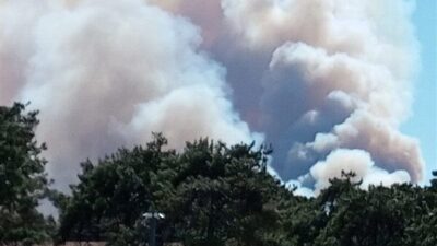 Muğla’nın Seydikemer ilçesine bağlı Bayır Mahallesi’nde sabah saatlerinde çıkan orman yangınına