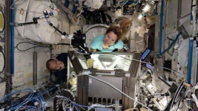NASA’dan yapılan açıklamaya göre Williams, görev süresince yeni kanser tedavilerinin