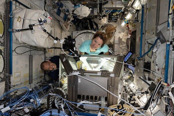 NASA’dan yapılan açıklamaya göre Williams, görev süresince yeni kanser tedavilerinin