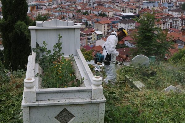 Tokat Belediyesi tarafından yapılan açıklamaya göre,  Mezarlıklar Müdürlüğü ile Park