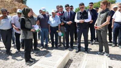 Tunceli’nin Mazgirt ilçesine bağlı Göktepe köyünde, Tarım ve Kırsal Kalkınmayı