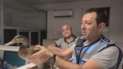 İzmir Büyükşehir Belediyesi zabıta ekipleri, Karşıyaka’da denetim sırasında araçların arasında