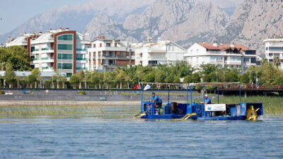 Antalya Büyükşehir Belediyesi, Boğaçayı’nda doğal yaşamı korumak ve su kalitesini