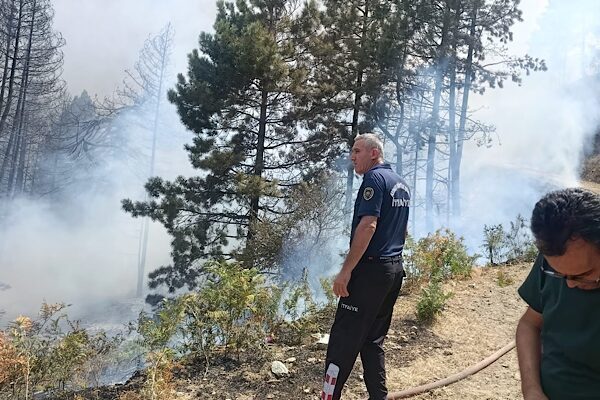 Aydın Büyükşehir Belediyesi, Kuyucak ilçesi Güneyyayla Mahallesi’nde çıkan orman yangınına