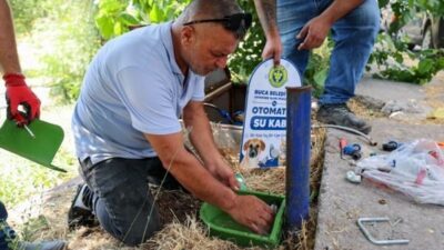 Buca Belediyesi, sıcak hava nedeniyle sokak hayvanlarının su ihtiyacını karşılamak