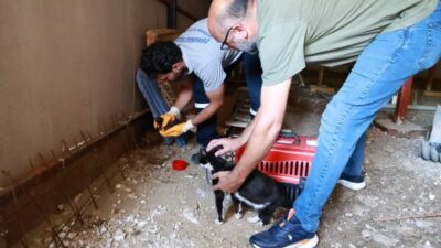 Osmangazi Belediyesi, Bursa Ovası’ndaki birinci sınıf tarım arazilerini kaçak yapılaşmaya