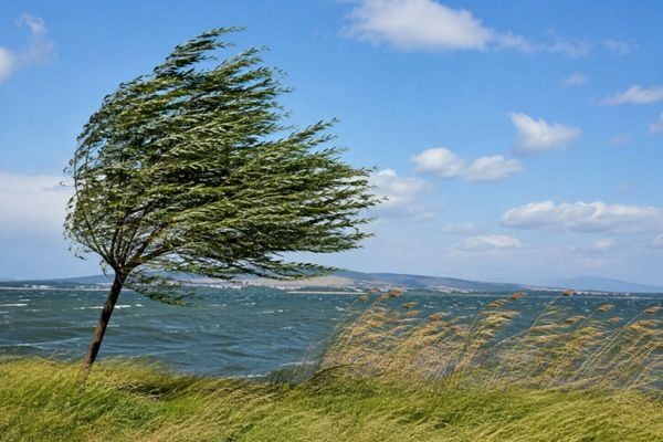 Meteoroloji Genel Müdürlüğü (MGM), 8 Ağustos 2026 Cumartesi günü için