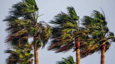 Meteoroloji Genel Müdürlüğü, 2 Ağustos Pazar gününe ilişkin hava tahmin
