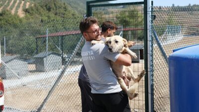 Mudanya Belediyesi tarafından sahipsiz hayvanlar için oluşturulan Altıntaş Doğal Yaşam