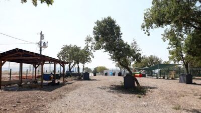 Nilüfer Belediyesi, sahipsiz hayvanların bakım, tedavi ve rehabilitasyon süreçlerini yürütmek