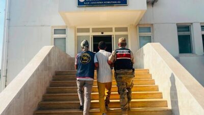 Şanlıurfa İl Jandarma Komutanlığı ekipleri, nitelikli suçlardan aranan şahısların yakalanmasına