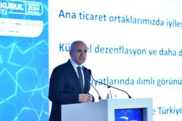 Hazine ve Maliye Bakanı Mehmet Şimşek, kamu, finansal sektör, özel