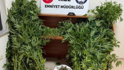 Rize İl Emniyet Müdürlüğü ekiplerinin kent genelinde yürüttüğü çalışmalarda, tespit