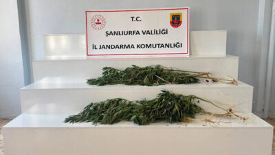 Şanlıurfa İl Jandarma Komutanlığı, Viranşehir İlçe Jandarma Komutanlığı ve JASAT