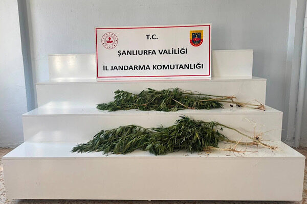 Şanlıurfa İl Jandarma Komutanlığı, Viranşehir İlçe Jandarma Komutanlığı ve JASAT