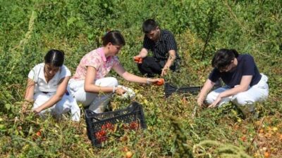 Avrupa Birliği destekli CleverFood Programı kapsamında yürütülen “Osmangazi Gençlik Gıda
