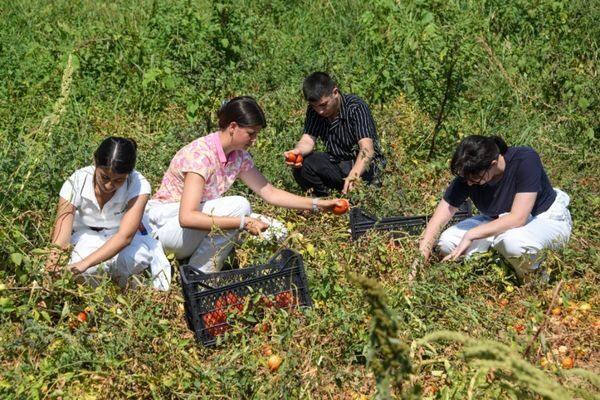 Avrupa Birliği destekli CleverFood Programı kapsamında yürütülen “Osmangazi Gençlik Gıda